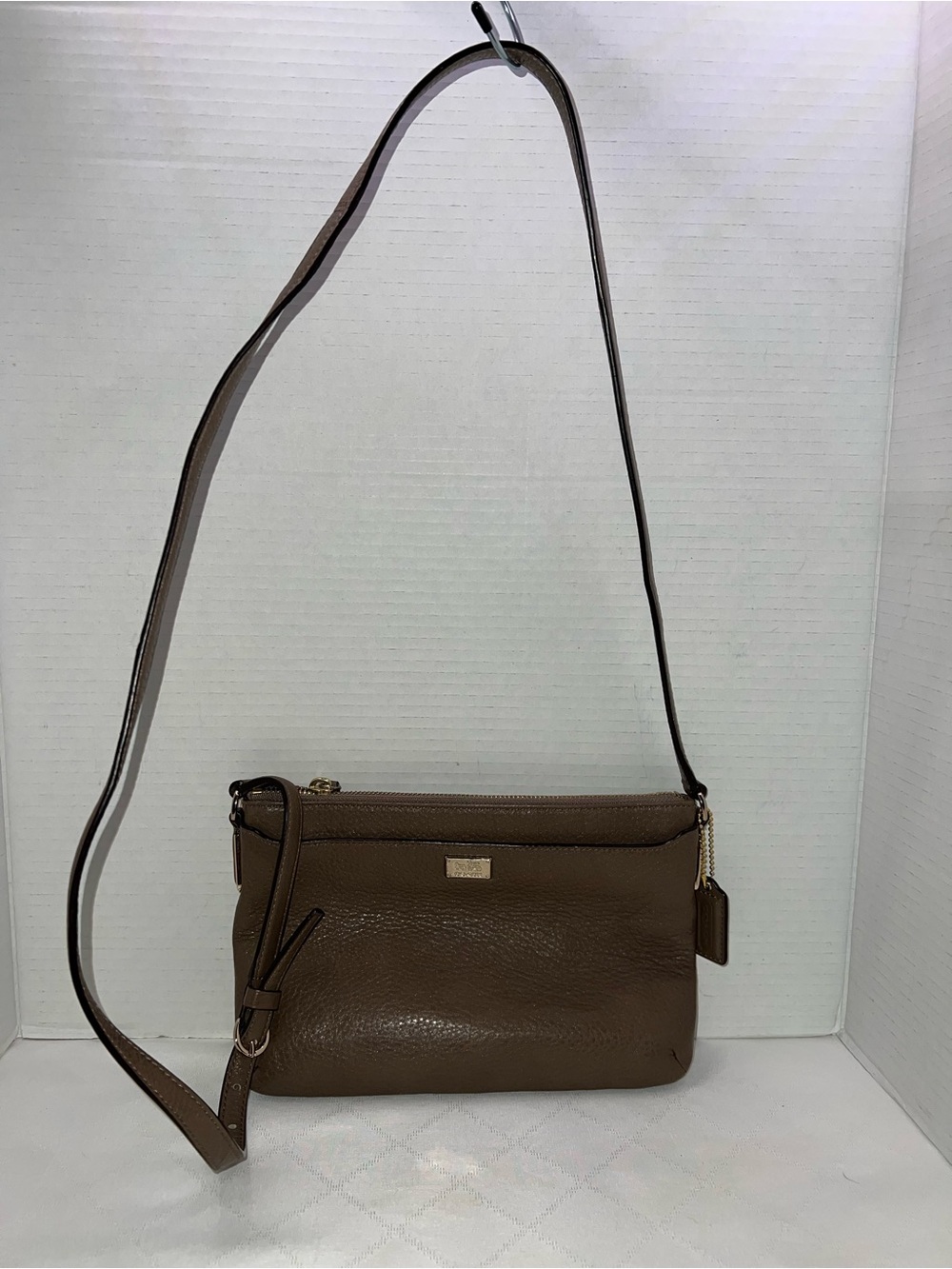 Coach Madison Leather East West Swingpack crossbody bag